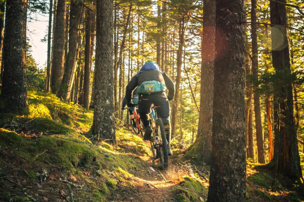 mountainbiking